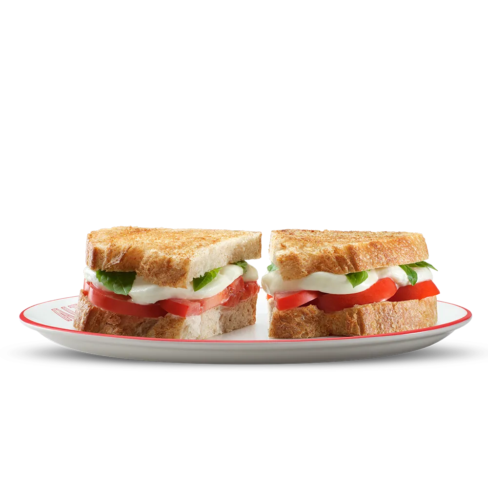 PANE-TOAST-POMODORO-MOZZARELLA-BASILICO_new