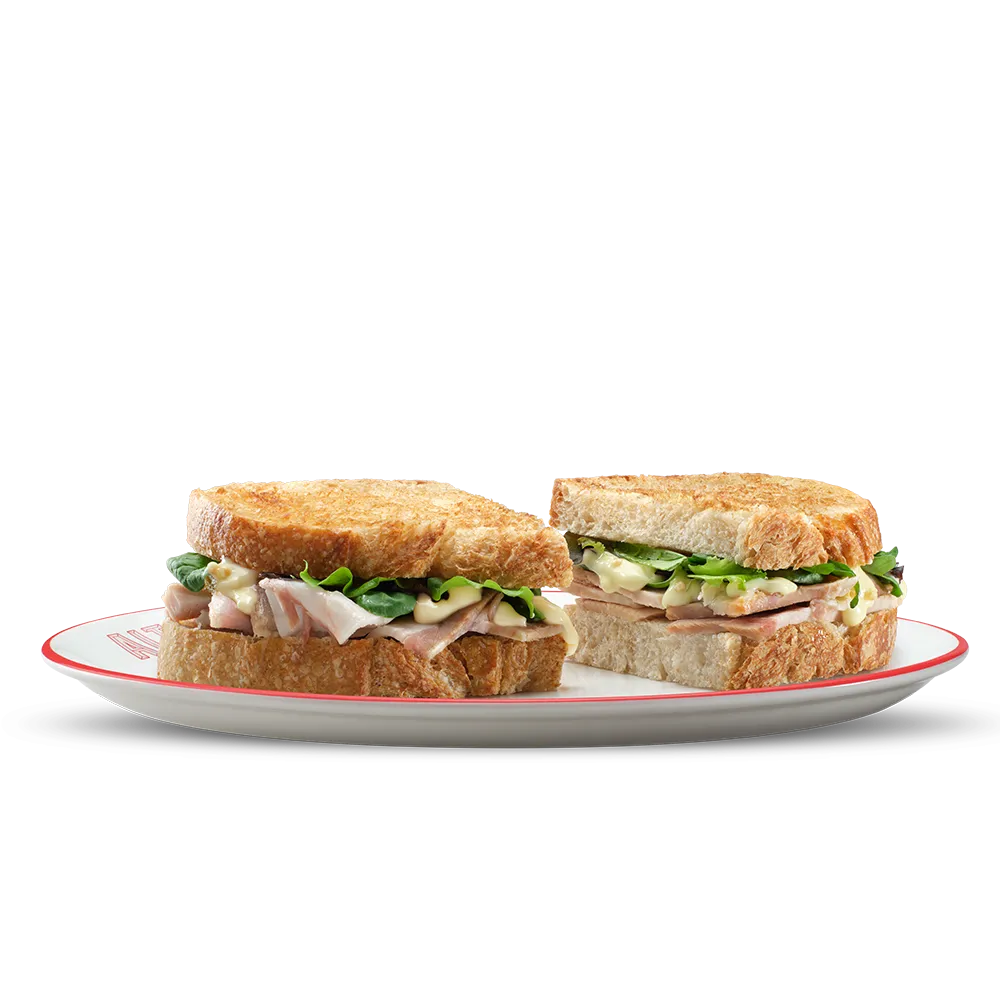 PANE-TOAST-PORCHETTA-MISTICANZA-SENAPE_new