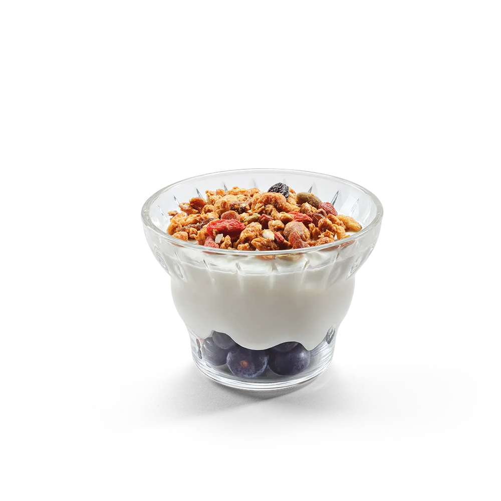 YOGURT-GRANOLA-FRUTTA-1